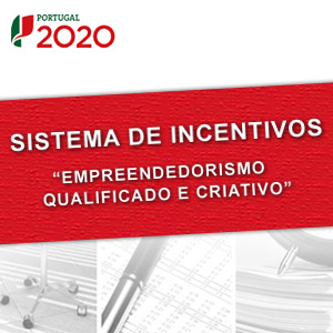 Empreendedorismo qualificado e criativo