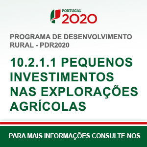 10.2.1.1 Pequenos investimentos nas Explorações Agrícolas