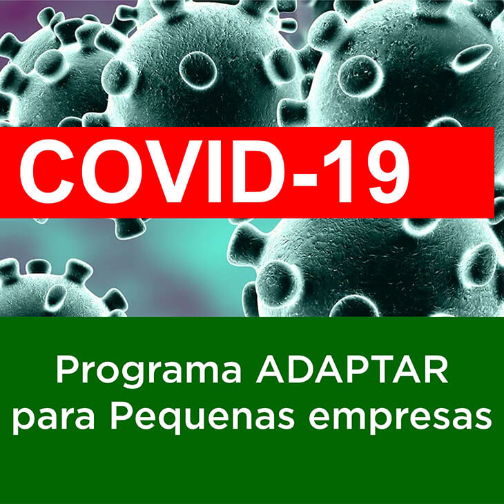 Programa ADAPTAR para Pequenas empresas