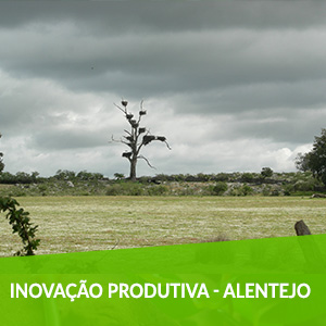 Sistema de Incentivos -  Inovação Produtiva Para a Região NUT III do Alentejo