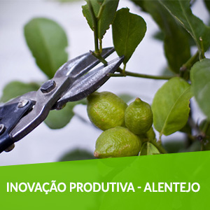 SI Inovação Produtiva - Alentejo